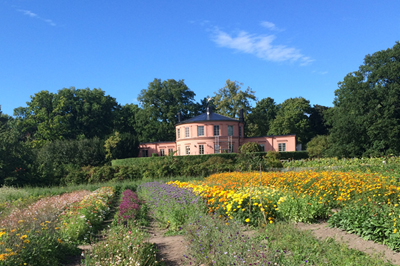 Rosendals-crops 400x266