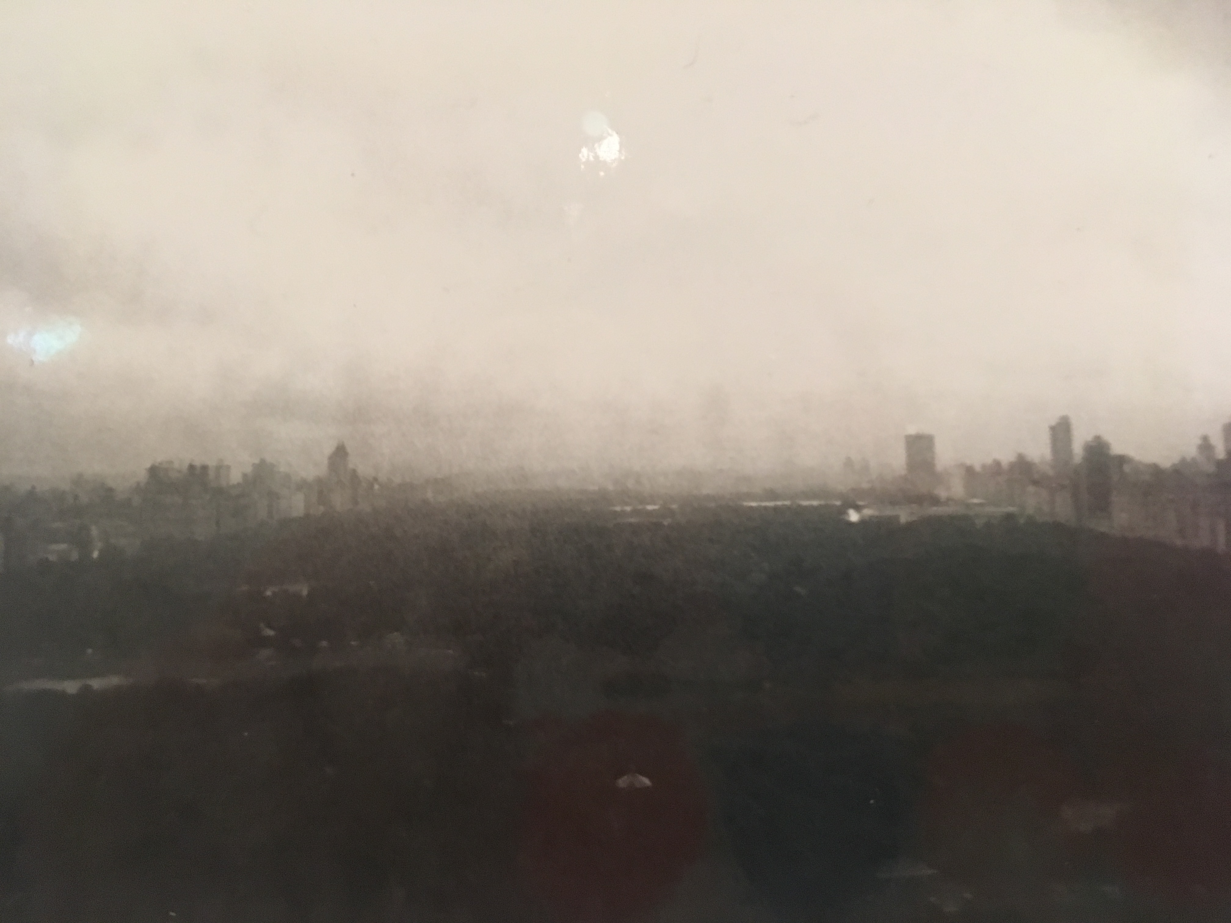 New York by Wim Wenders