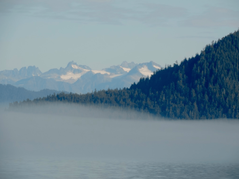 The Spatsizi Plateau Wilderness Provincial Park