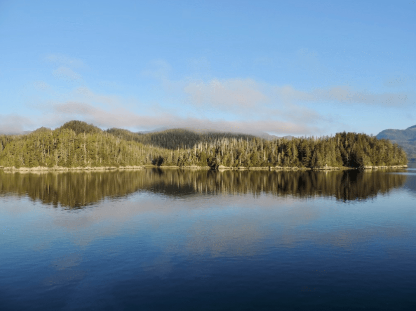 Trees and clouds in the Alexander Archipelago