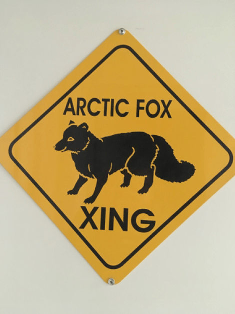 Arctic Fox Airbnb