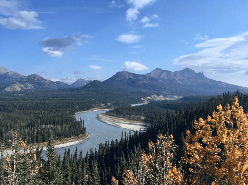Mount Denali from the Denali train