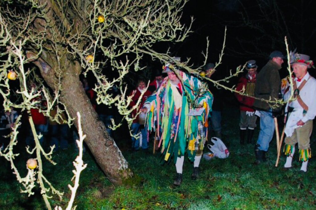 Wassailing in West Sussex 