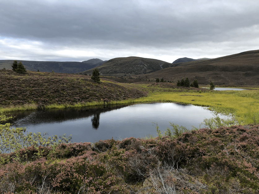 Some lochans - small lakes - overlooking Bynack More on the Ryvoan Pass. 