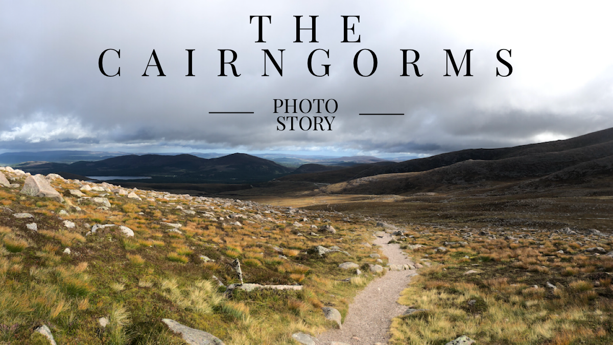 Cairngorms header image