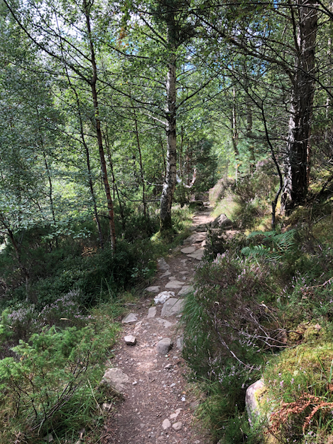 Rocks on the path ahead