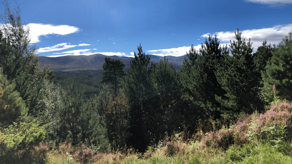 The view as we walked towards An Lochan Uaine