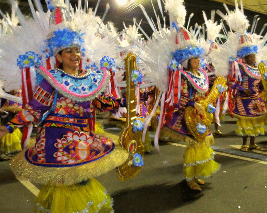 A gif featuring Rio Carnavale and a diagram showing a pig