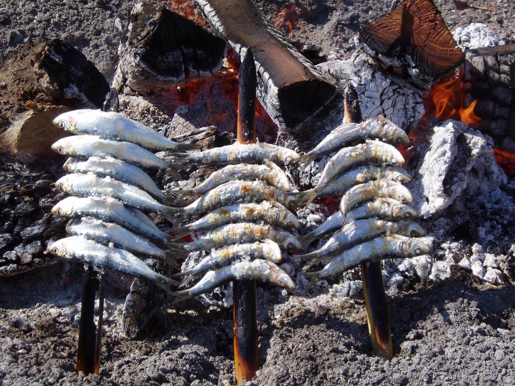 Sardines on a grill in Andalucia