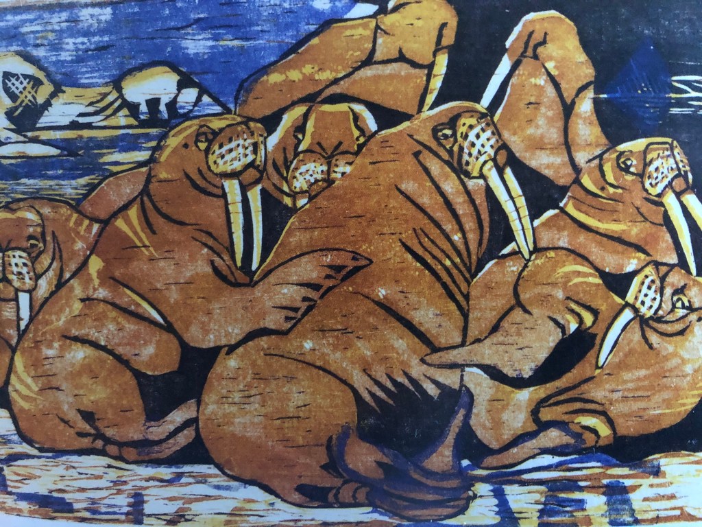 Close up of walruses