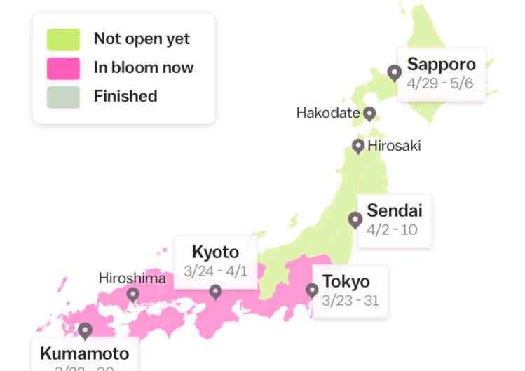 a blossom forecast for 2021